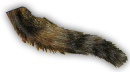 neko